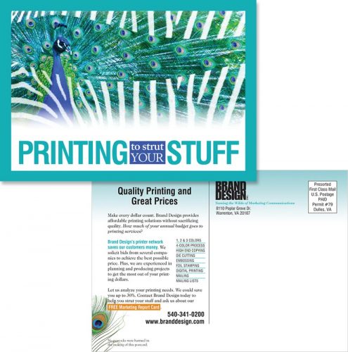 Brand Design, Inc. in Warrenton VA Printing services postcard
